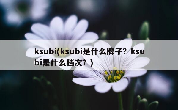 ksubi(ksubi是什么牌子？ksubi是什么档次？)